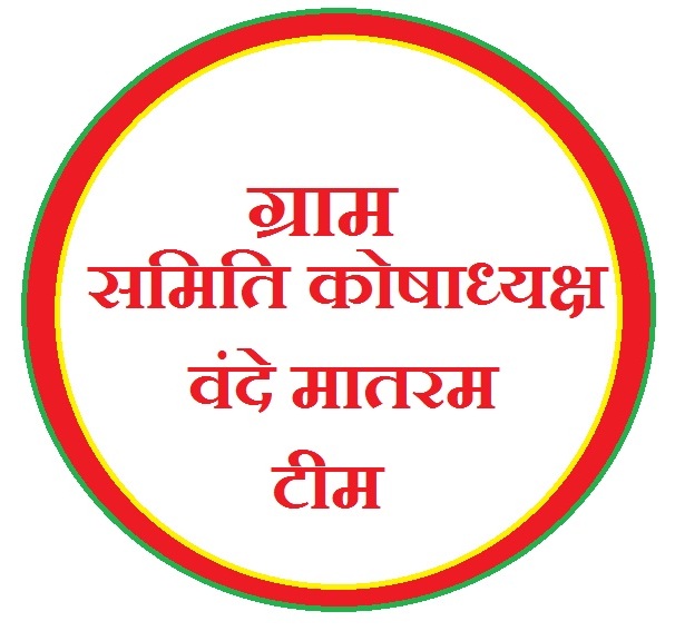 CERTIFICATE OF VILLAGE  TREASURER