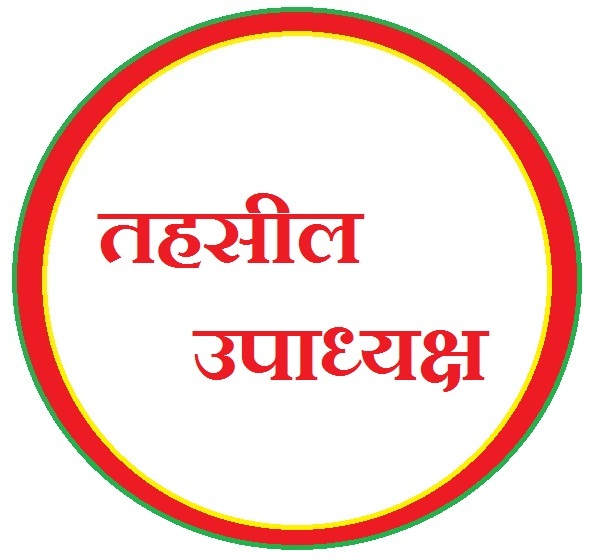 CERTIFICATE OF TEHSIL VICE PRESIDENT