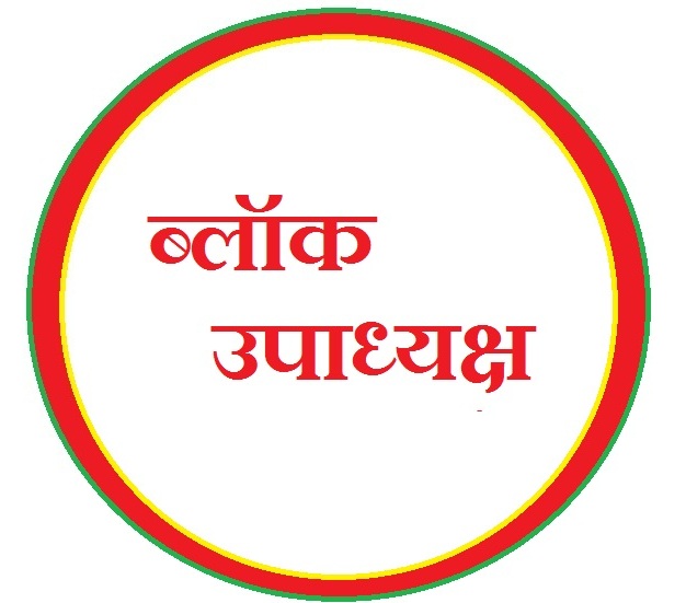 CERTIFICATE OF BLOCK VICE PRESIDENT