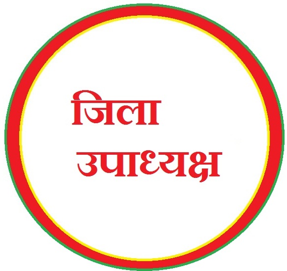 CERTIFICATE OF DISTRICT VICE PRESIDENT