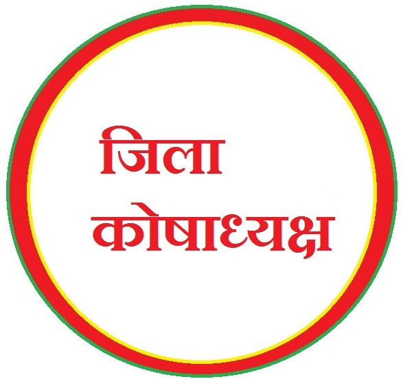 CERTIFICATE OF DISTRICT TREASURER