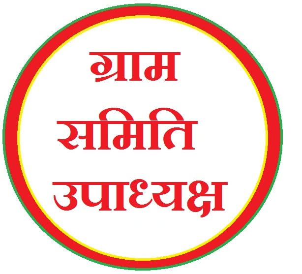 CERTIFICATE OF VILLAGE VICE PRESIDENT